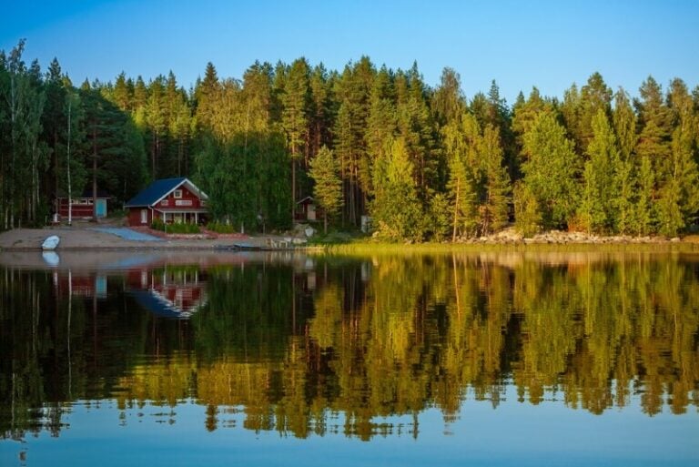 Forest and lake in Finland.