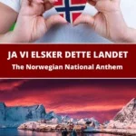 The Norwegian National Song Pin
