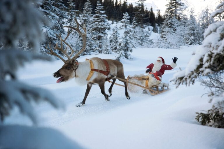 Santa on a reindeer sleigh in a Norwegian winter