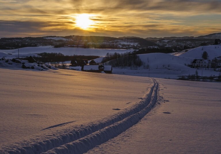 Ski trails in the winter sunlight.