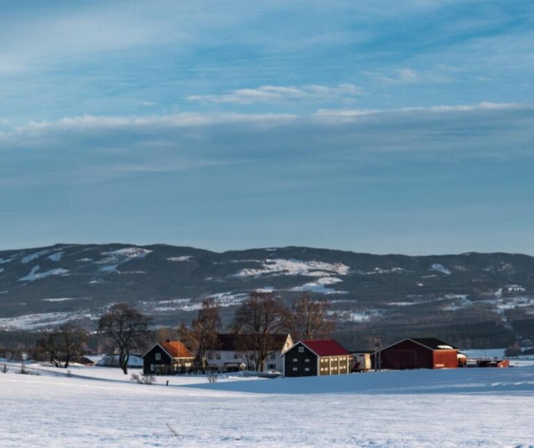 Winter landscape with wooden houses during calm winter morning with forest and hills in the background near Gjøvik