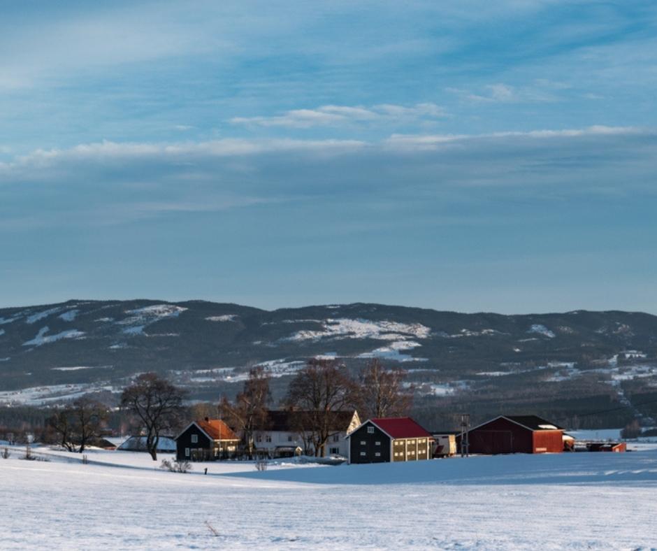 Gjøvik on the Mjøsa: Life in Innlandet