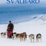 When to Visit Svalbard pin