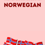 LIN Norwegian Language Written Exam Pin