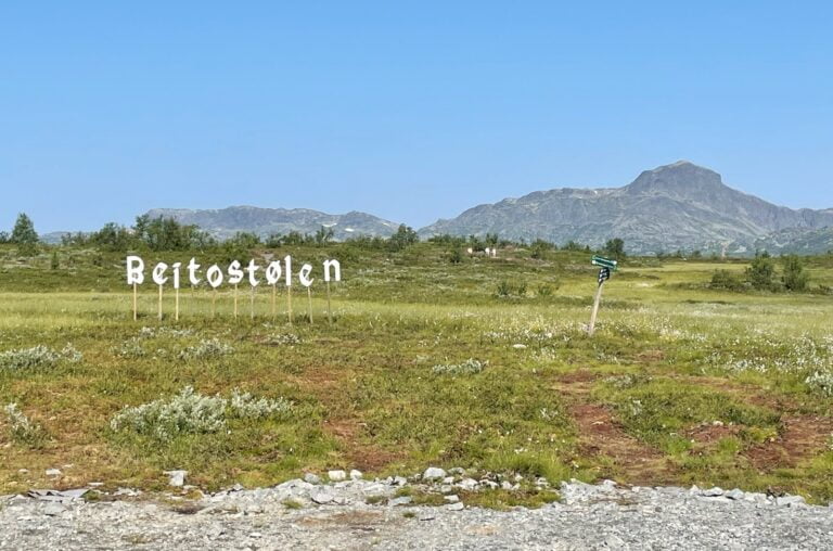 Beitostølen hike in the summer.