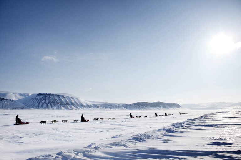 Dog sledding on Svalbard in the white winter.