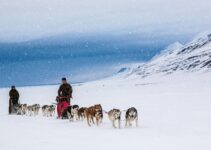 When is the Best Time to Visit Svalbard?