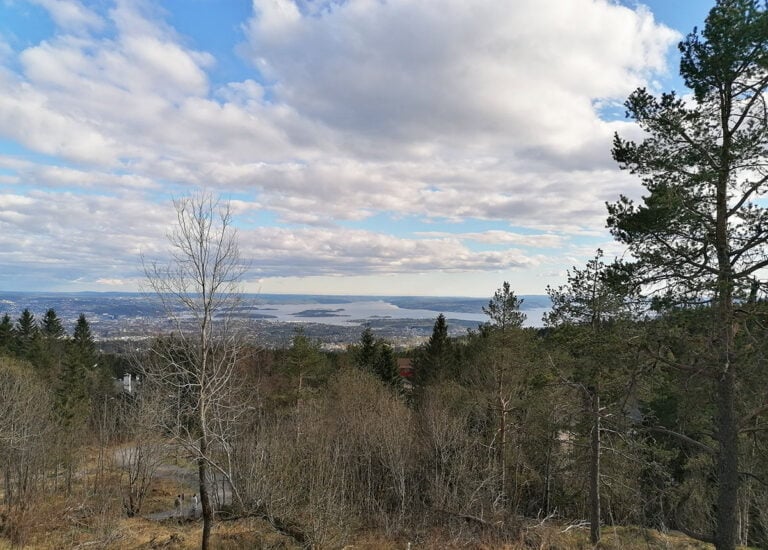 View of Oslo from Frognerseteren, Oslo