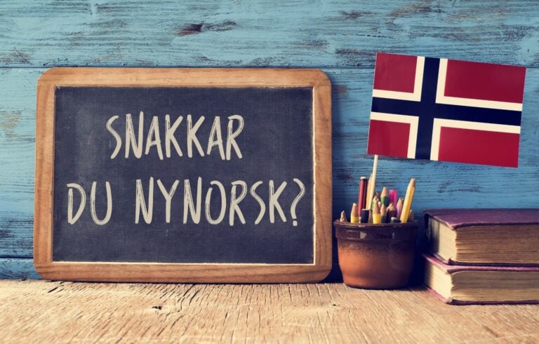 Snakkar du nynorsk - Nynorsk in schools concept graphic.