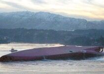 The 2004 Rocknes Ship Disaster