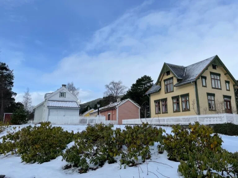 Romsdal museum houses.