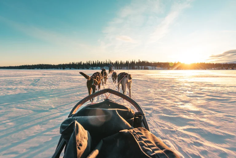 Dog sledding in Hemsedal, Norway.