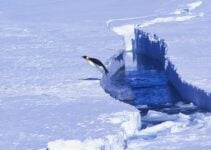 The Story of Norway in Antarctica