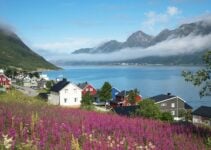 Introducing Senja Island in Northern Norway