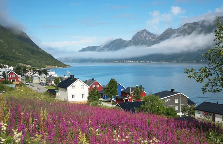 Village on Senja island in Northern Norway