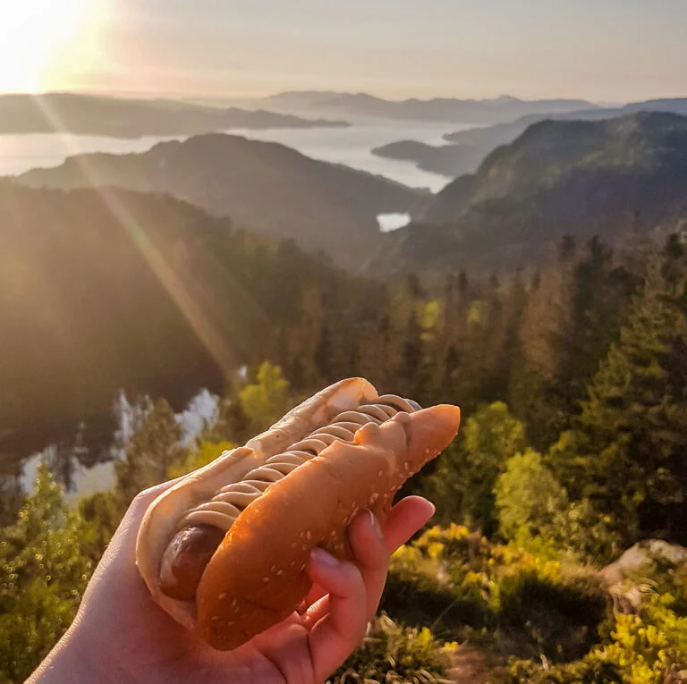 A hot dog in Norway