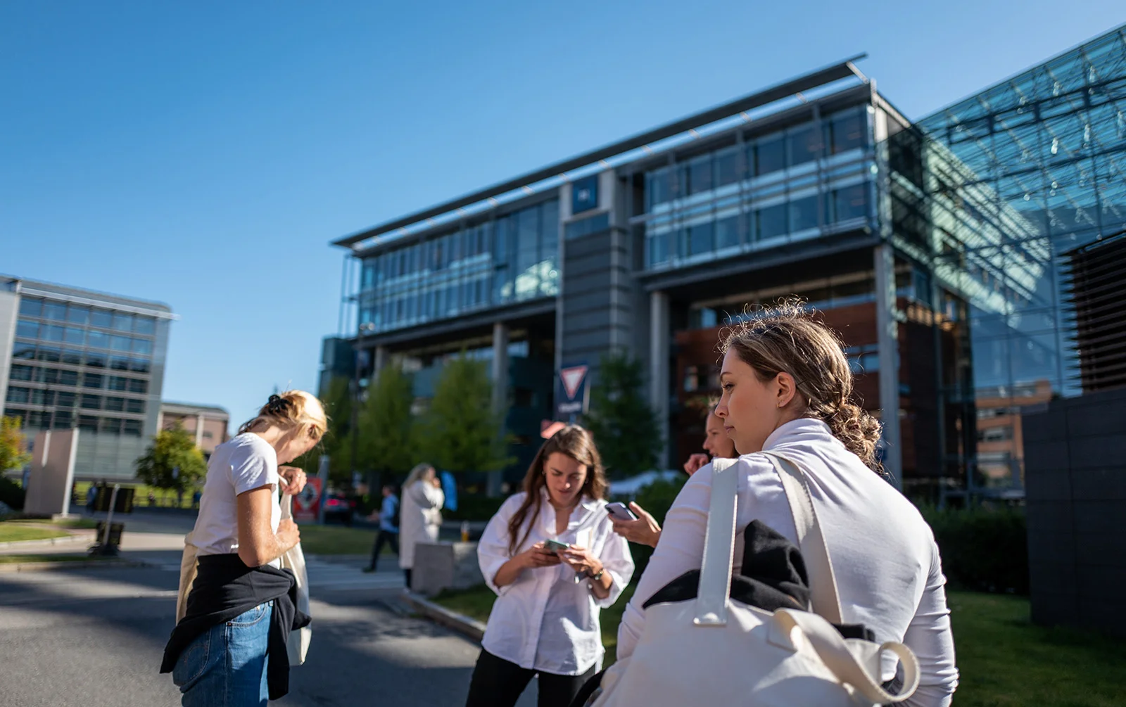 Students in Norway. Photo: borisimple / Shutterstock.com.