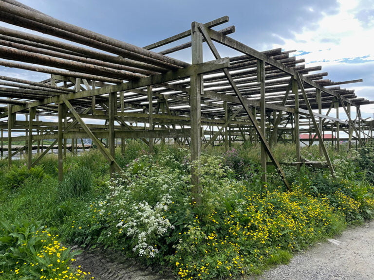 Henningsvær fish drying racks.