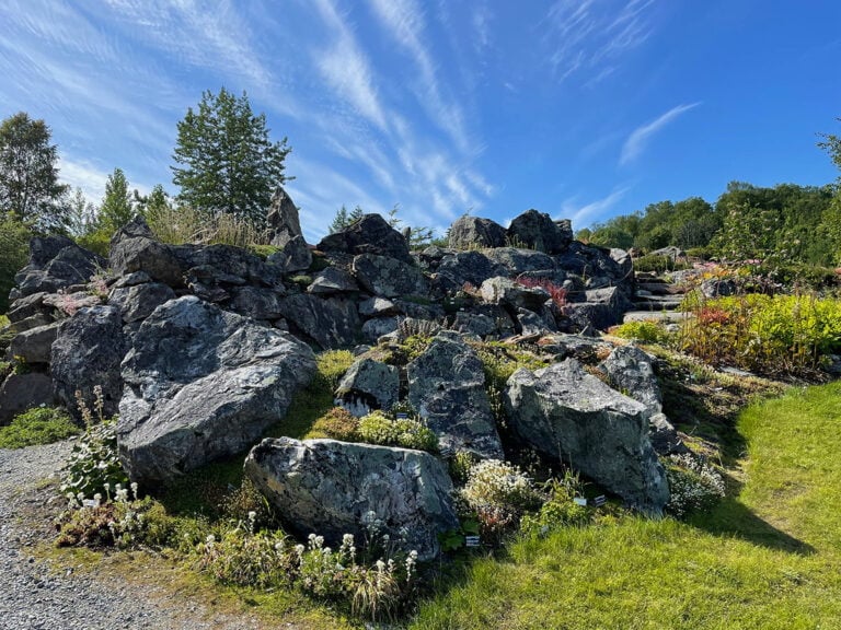 Arctic-Alpine Botanical Garden in Tromsø.