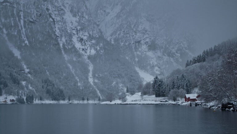 Sognefjord in the dull light of the early winter.