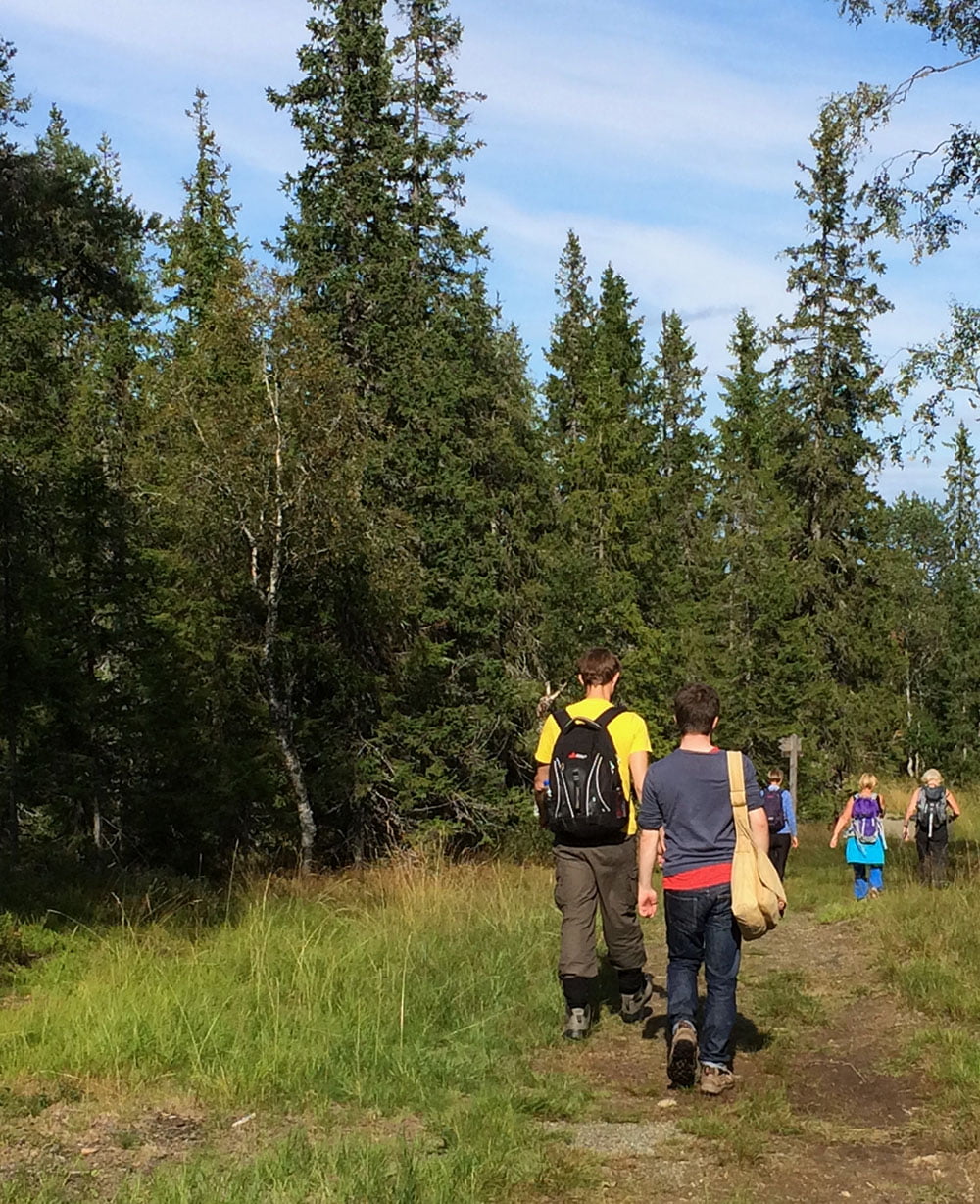 Hiking trail in Bymarka.