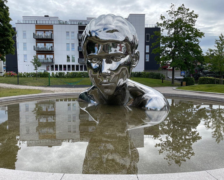 Silver head in pond in Sarpsborg.