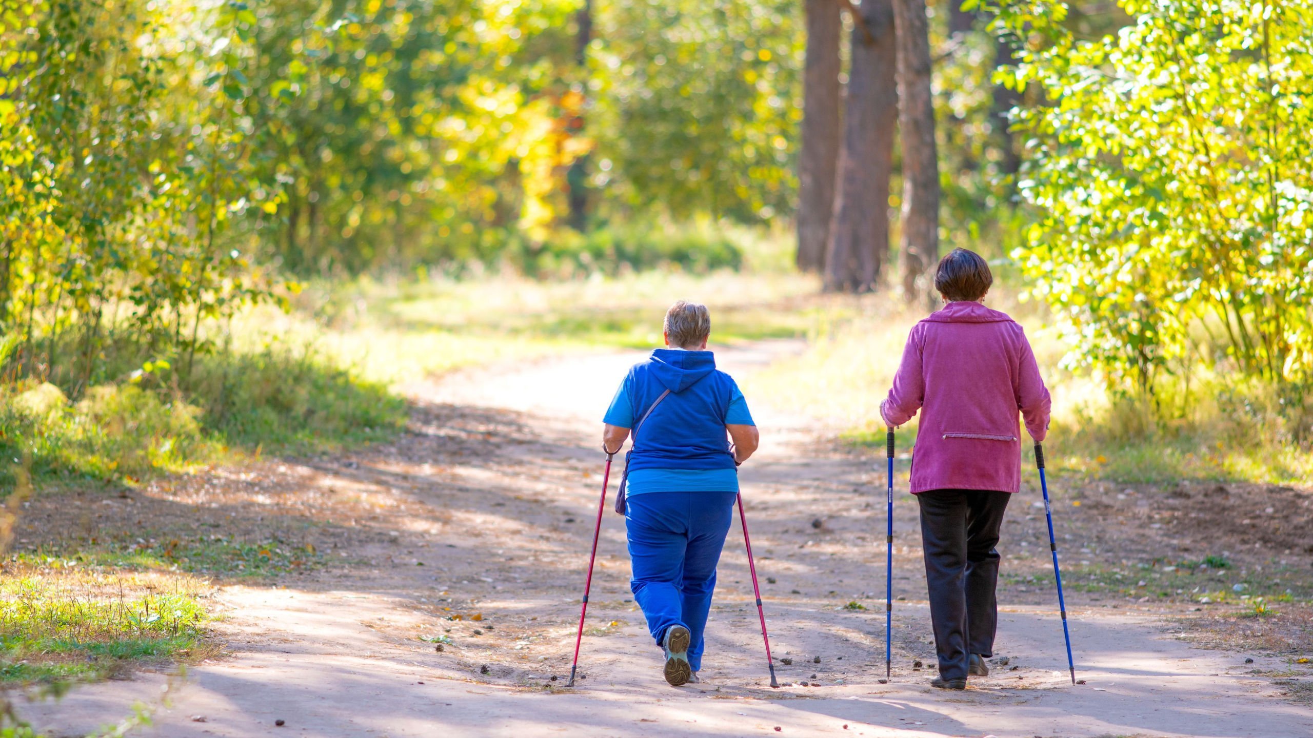 Two older women Nordic walking on a trail