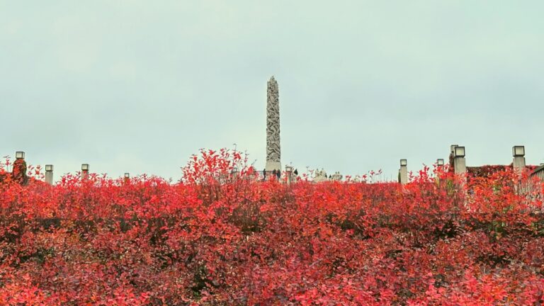 Red autumnal colours in Oslo’s Vigeland Park.
