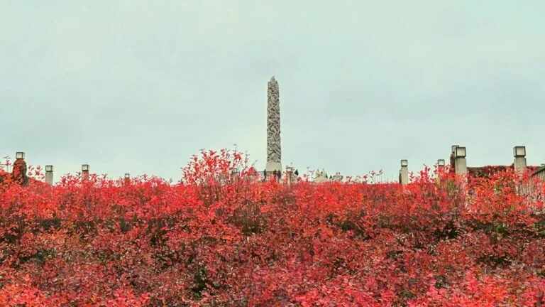 Red autumnal colours in Oslo’s Vigeland Park.