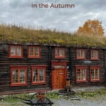 Røros in the Autumn Pin