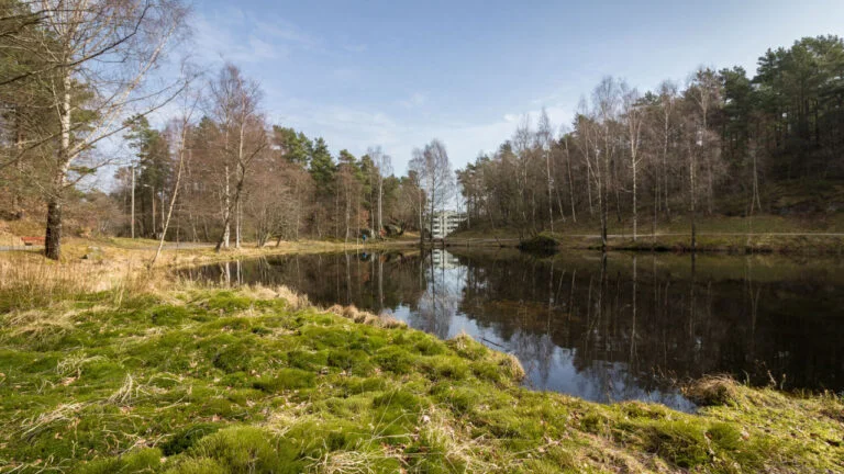 Pond at Baneheia in Kristiansand.