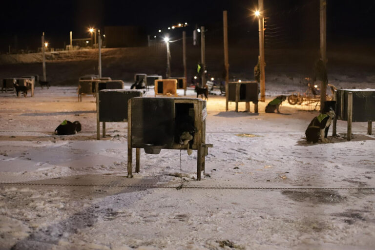 Dog houses on Svalbard.