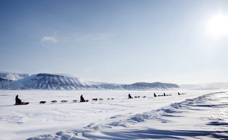 Dog sledding in Svalbard, Norway.