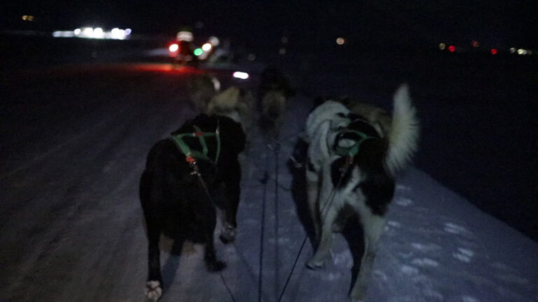 On a dog sled. Photo: Daniel Albert.