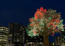 In Pictures: The Oslo Tree