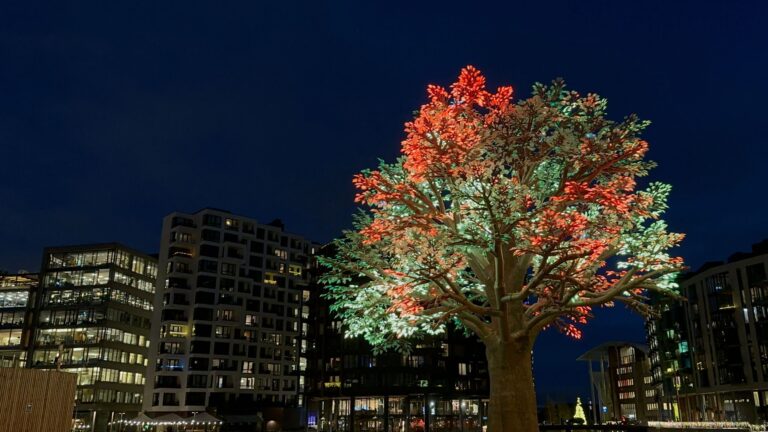 The Oslo Tree lit up in a winter evening.