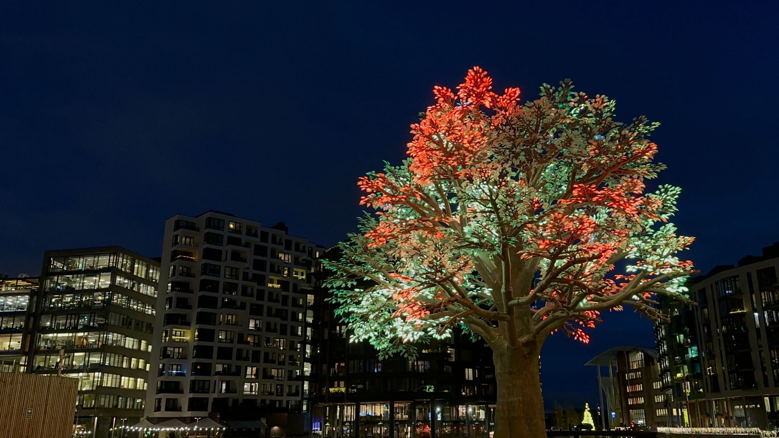 The Oslo Tree lit up in a winter evening.