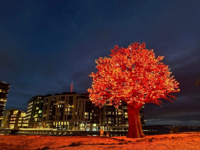 Red LED lights on The Oslo Tree art project.