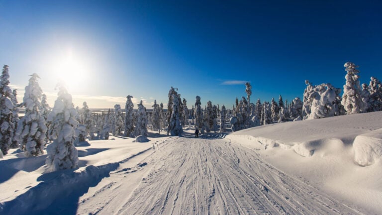 Skiing trails near Lillehammer in Norway.