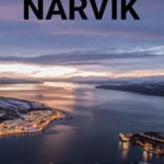 The Battles of Narvik pin