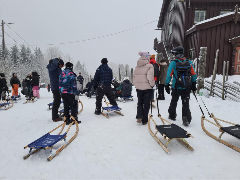 Norwegian sleds.