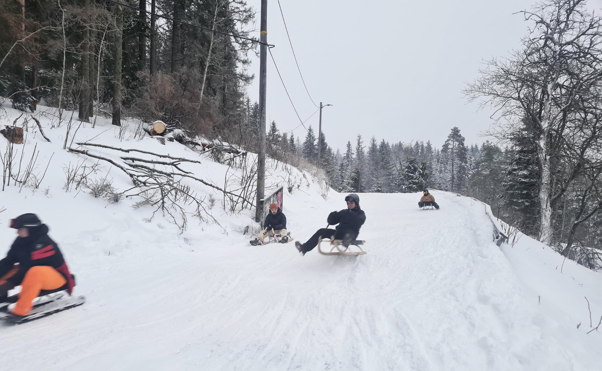 Action from the Oslo toboggan run