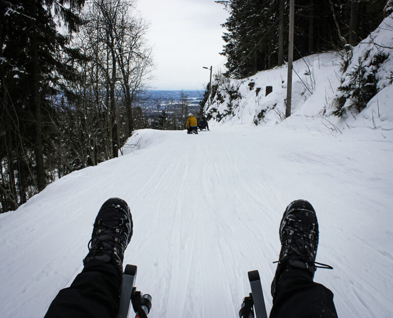 View from a sled in Oslo
