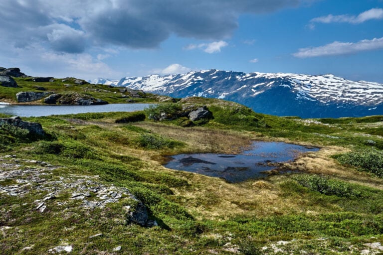 Dronningstien is named after HM Queen Sonja of Norway. The trail in the Hardangerfjord region is in the high mountains between Kinsarvik - Lofthus and offers magnificent fjord views.