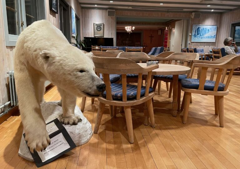 Stuffed polar bear in the community area of the Svalbard church.