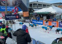 Finnmarksløpet: Norway’s Long Distance Sled Dog Race