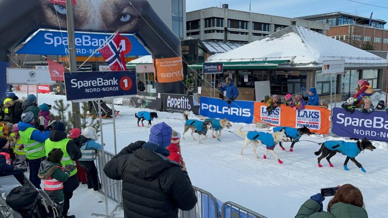 Finish line of Finnmarksløpet in downtown Alta, Norway.