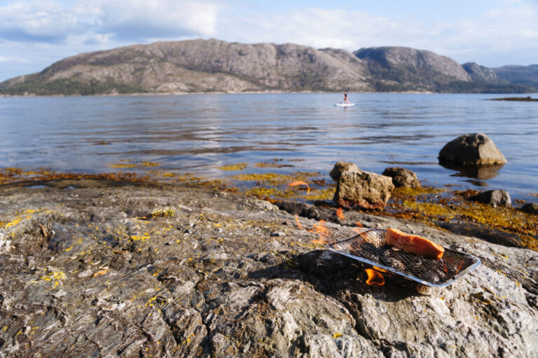 Salmon on a single-use grill by a fjord in Norway.