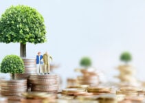 IPS: Individual Pension Savings in Norway