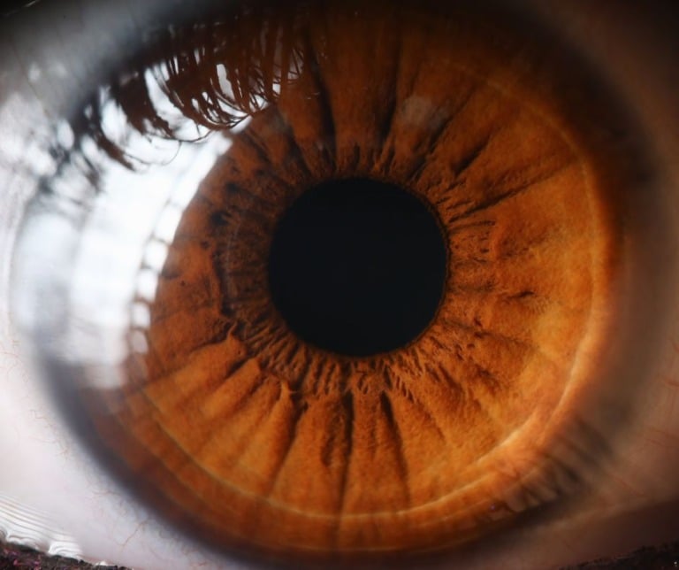 A close-up of the human eye.